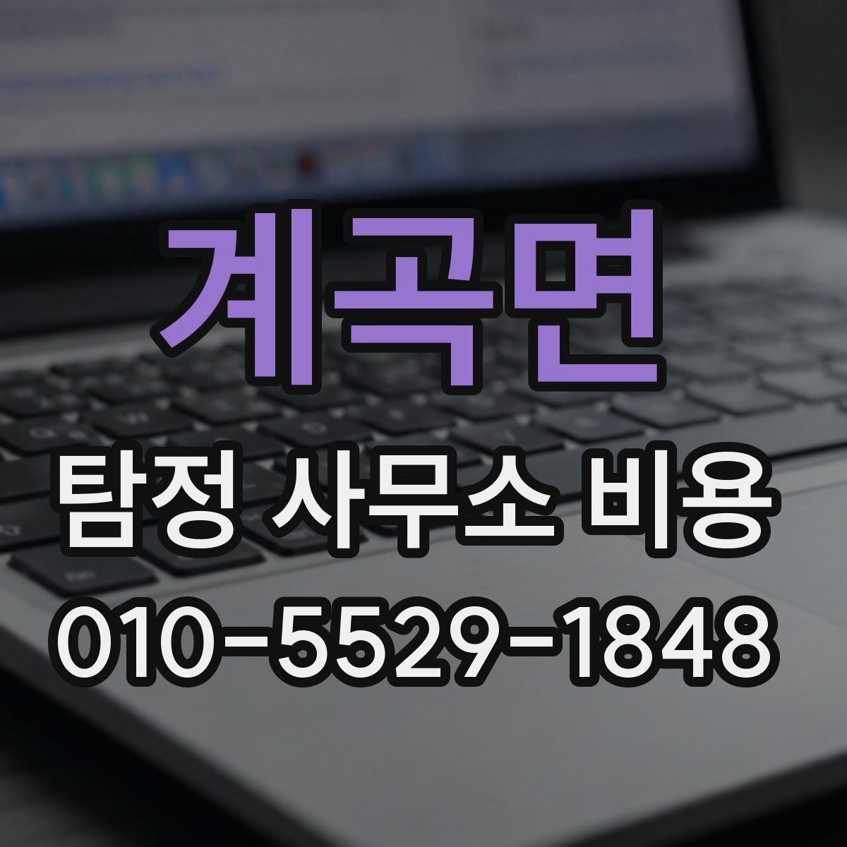 계곡면 탐정 사무소 비용