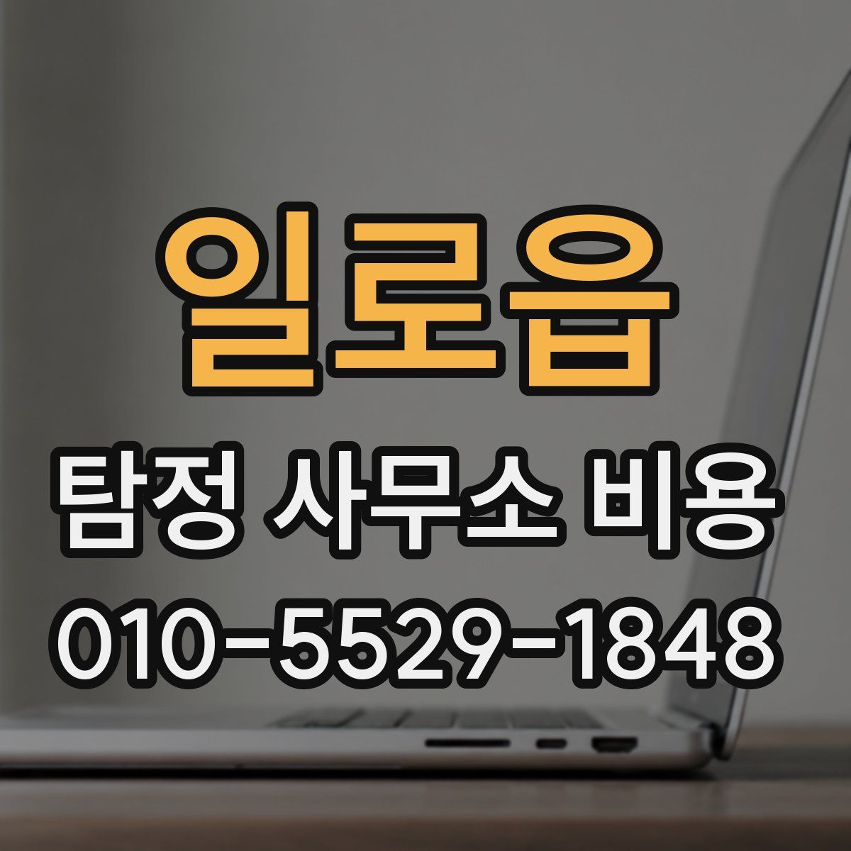 일로읍 탐정 사무소 비용