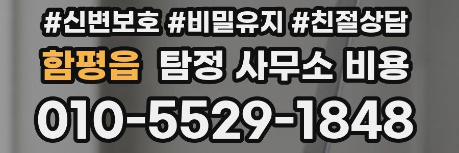 함평읍 탐정 사무소 비용