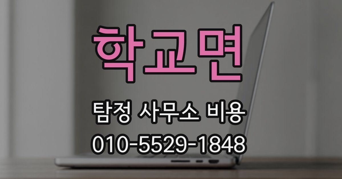 학교면 탐정 사무소 비용