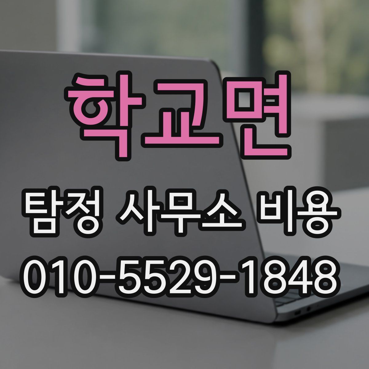 학교면 탐정 사무소 비용
