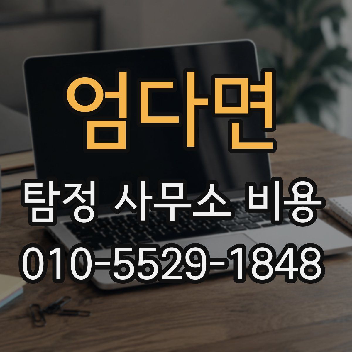 엄다면 탐정 사무소 비용
