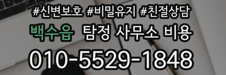 백수읍 탐정 사무소 비용