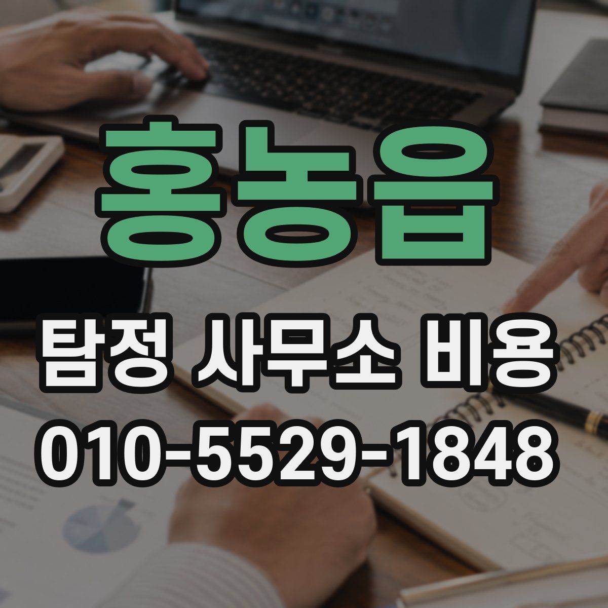 홍농읍 탐정 사무소 비용
