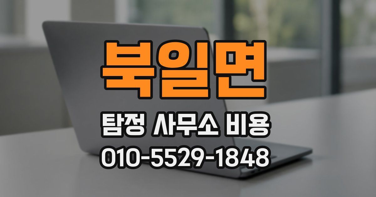 북일면 탐정 사무소 비용