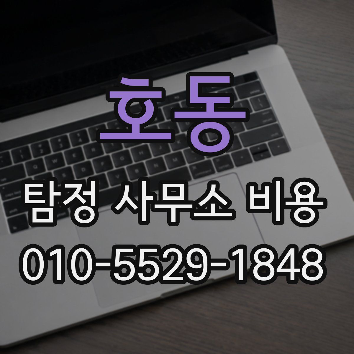 호동 탐정 사무소 비용