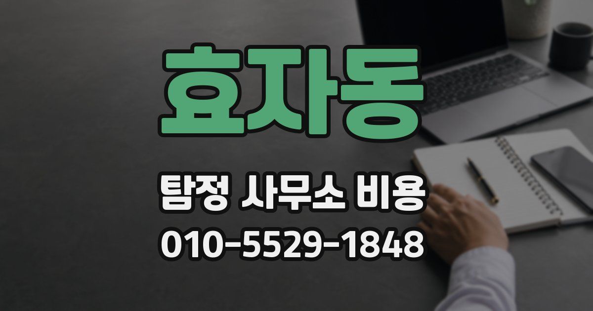 효자동 탐정 사무소 비용