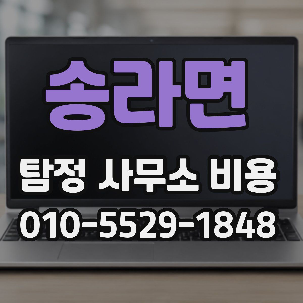 송라면 탐정 사무소 비용