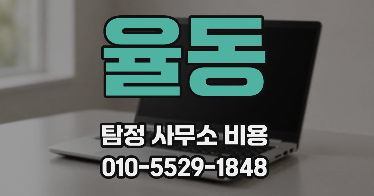 율동 탐정 사무소 비용