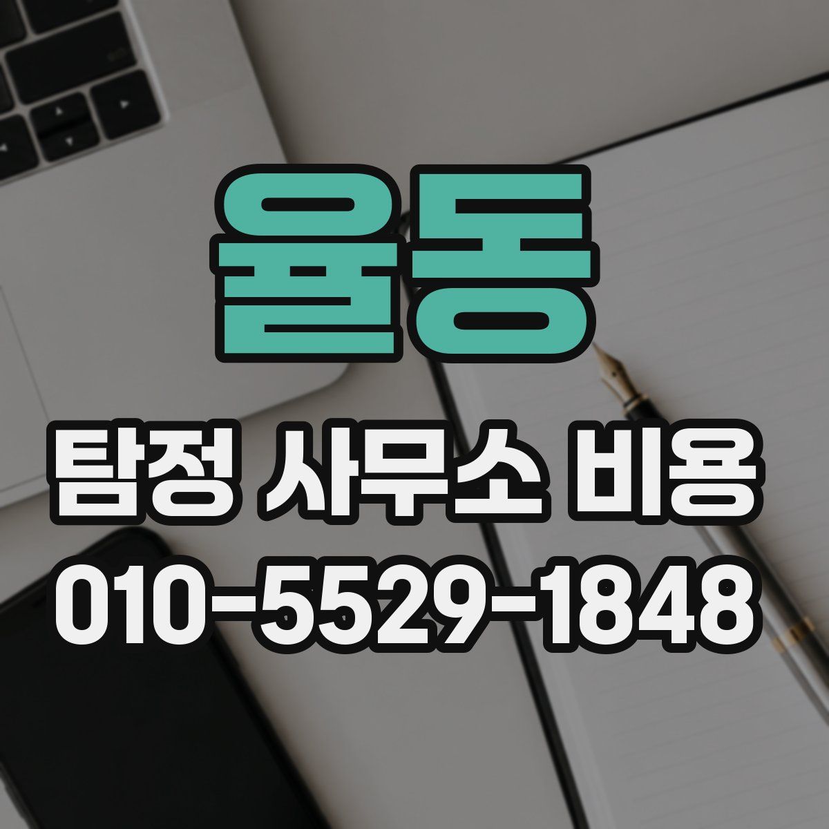 율동 탐정 사무소 비용