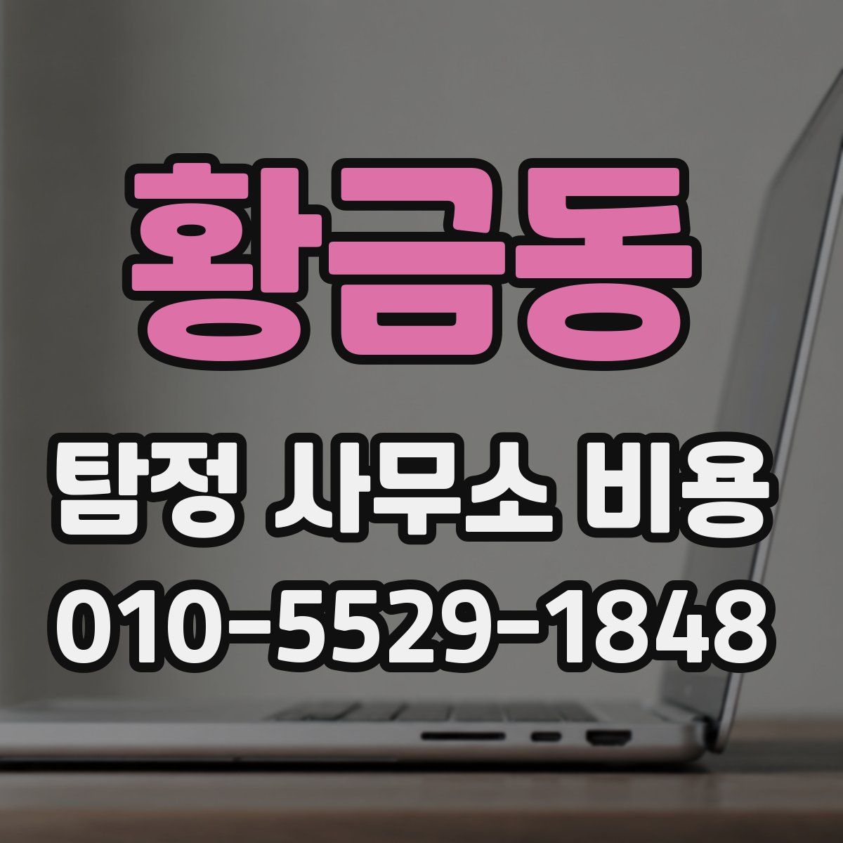 황금동 탐정 사무소 비용