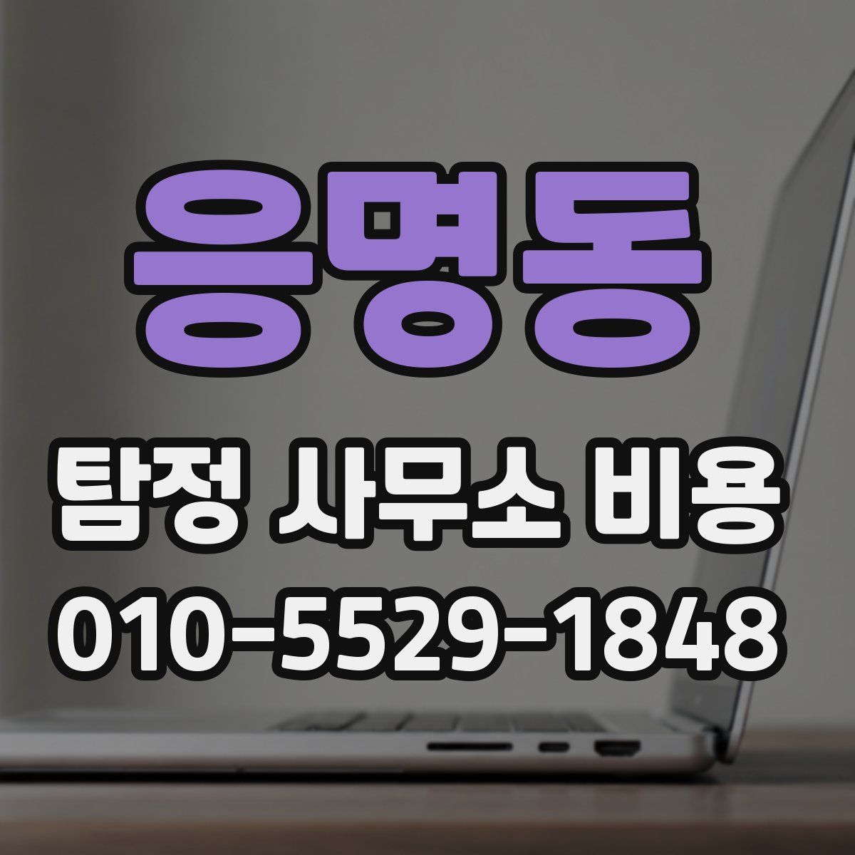 응명동 탐정 사무소 비용