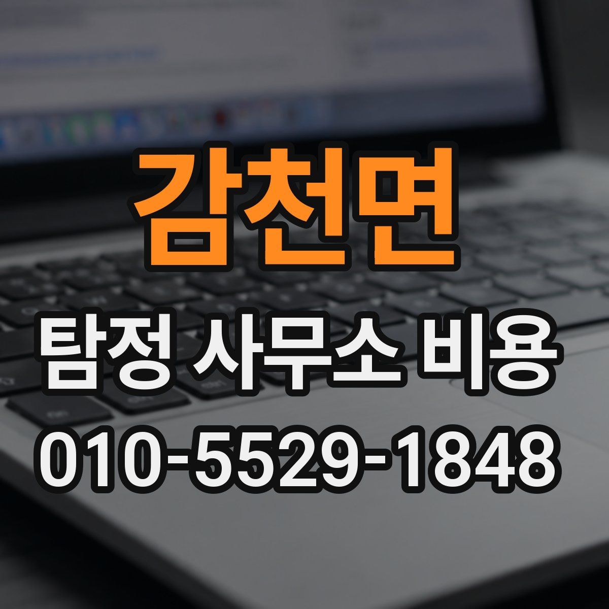 감천면 탐정 사무소 비용