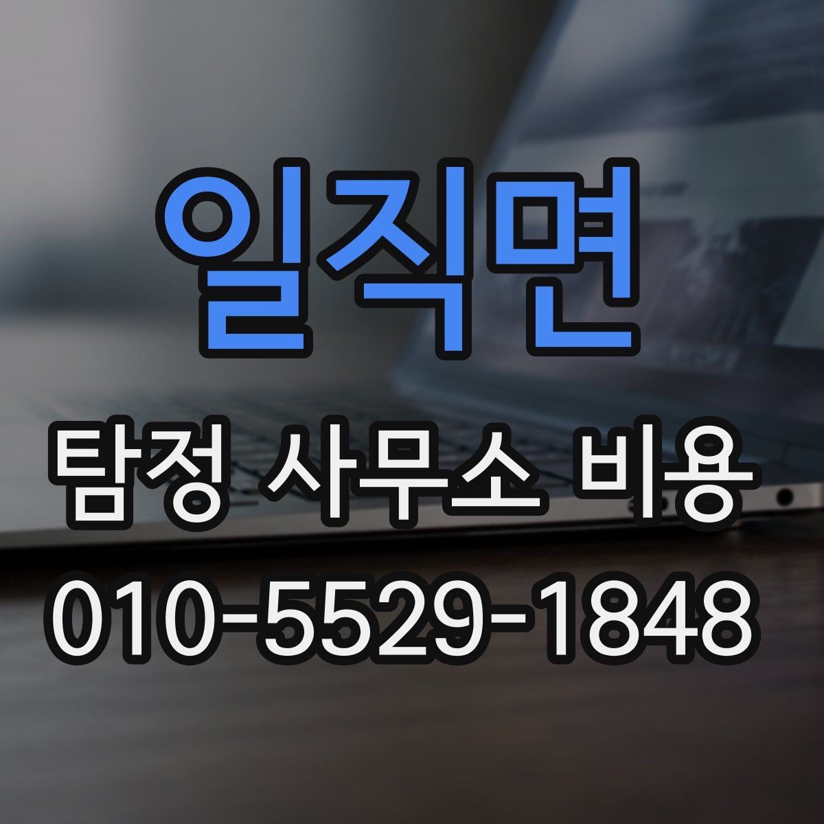 일직면 탐정 사무소 비용