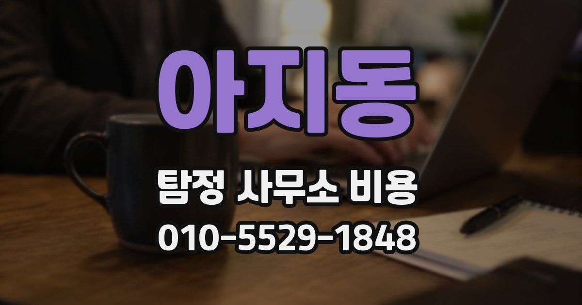 아지동 탐정 사무소 비용