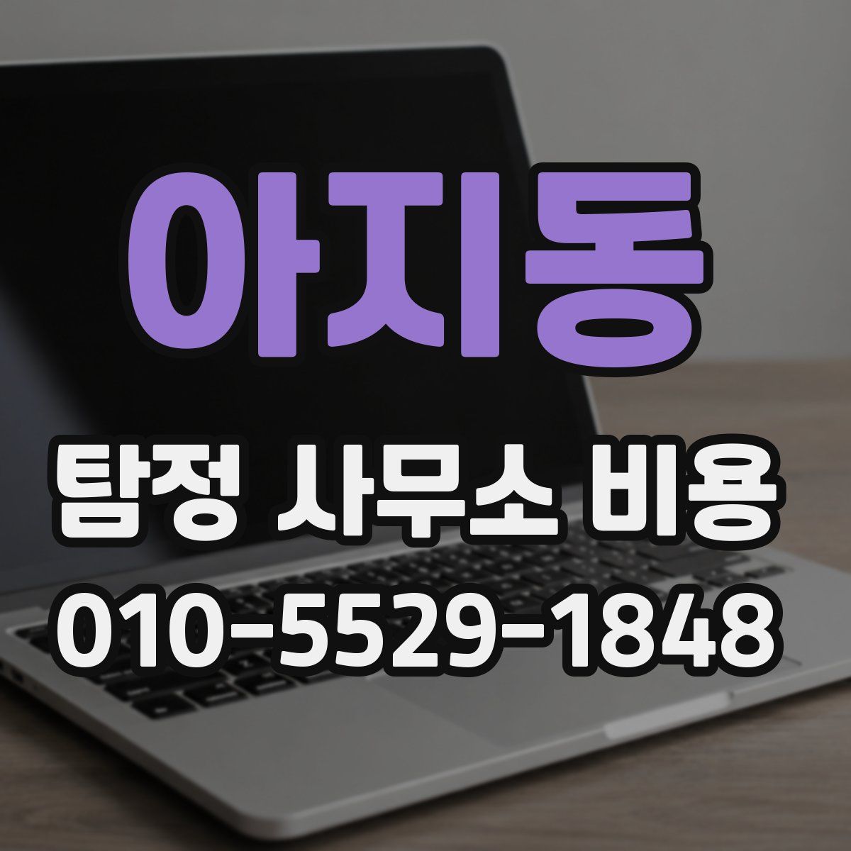 아지동 탐정 사무소 비용