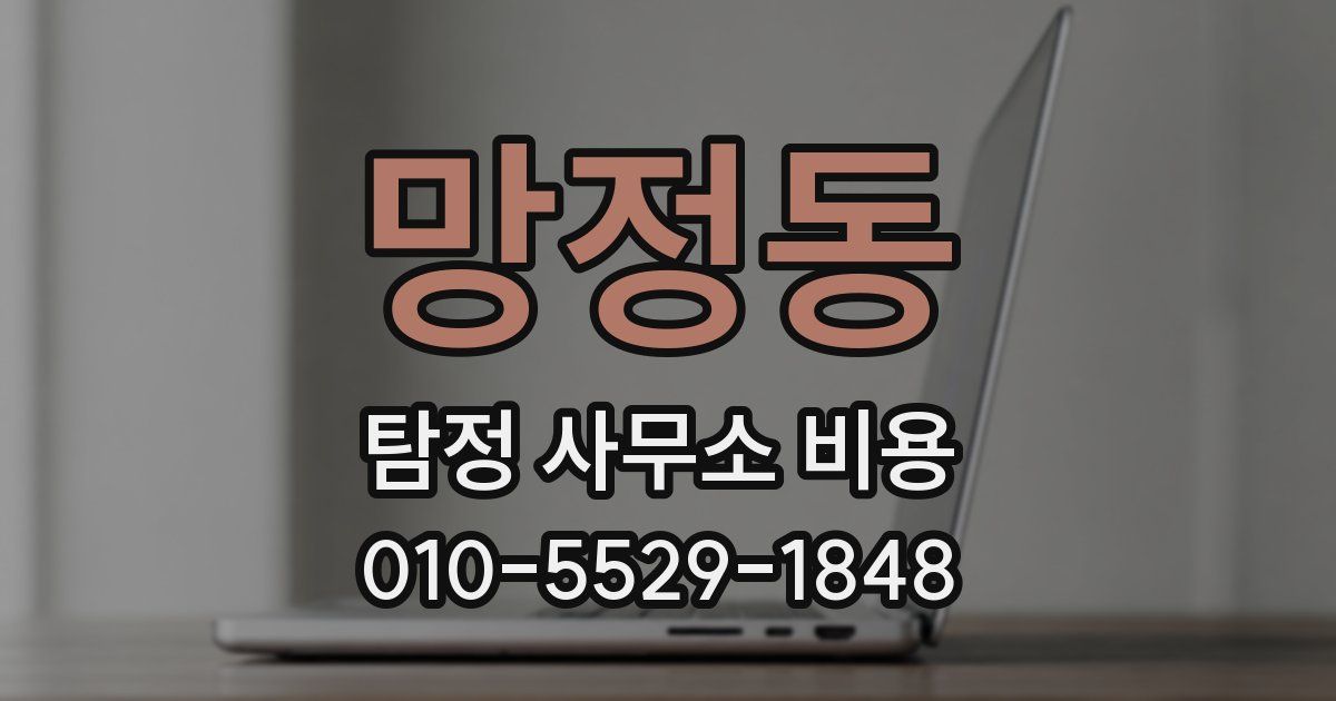 망정동 탐정 사무소 비용