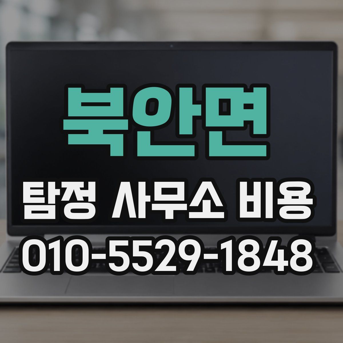 북안면 탐정 사무소 비용