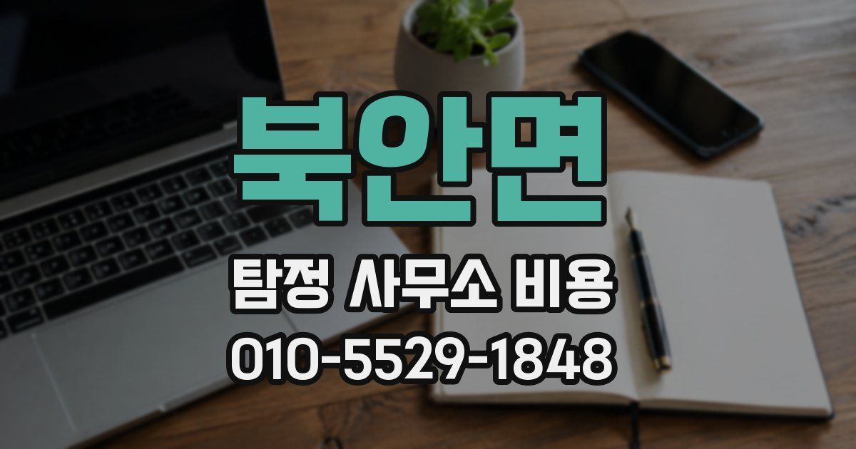 북안면 탐정 사무소 비용