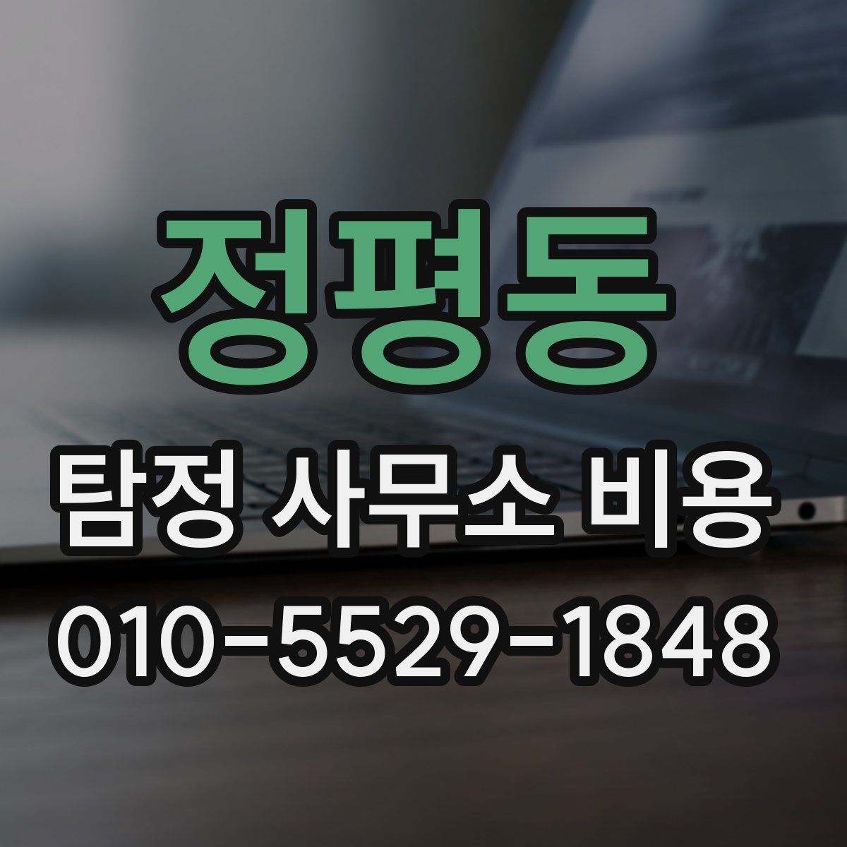 정평동 탐정 사무소 비용