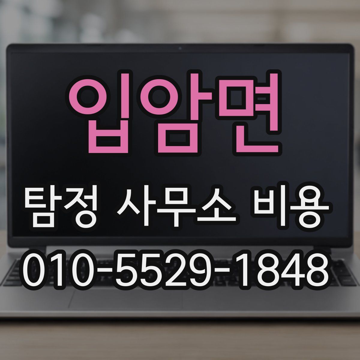 입암면 탐정 사무소 비용