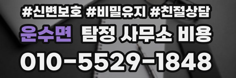 운수면 탐정 사무소 비용