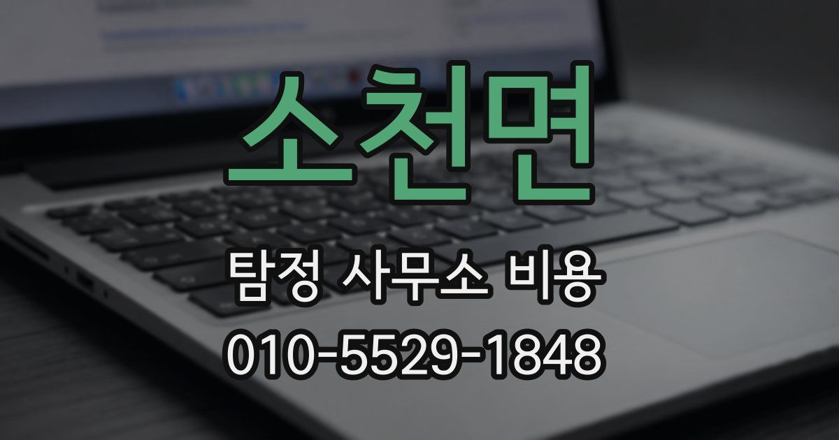 소천면 탐정 사무소 비용