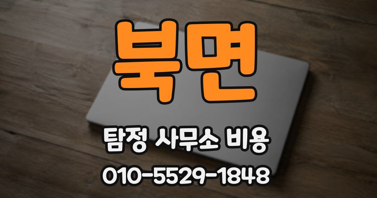 북면 탐정 사무소 비용