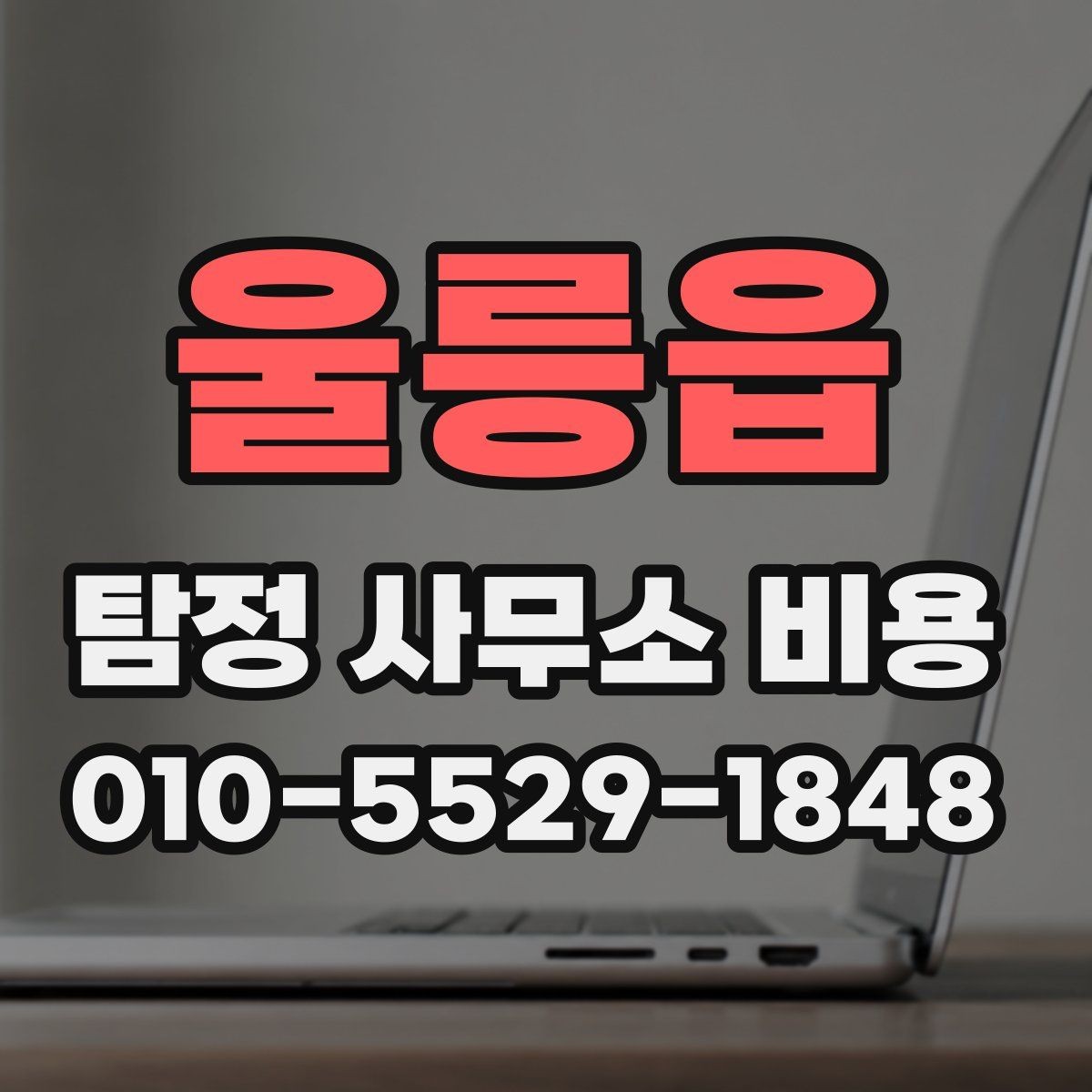 울릉읍 탐정 사무소 비용 사례로 보는 일반적인 범위