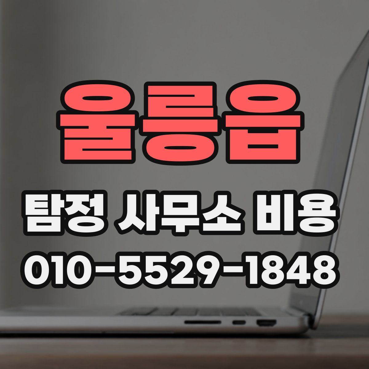 울릉읍 탐정 사무소 비용