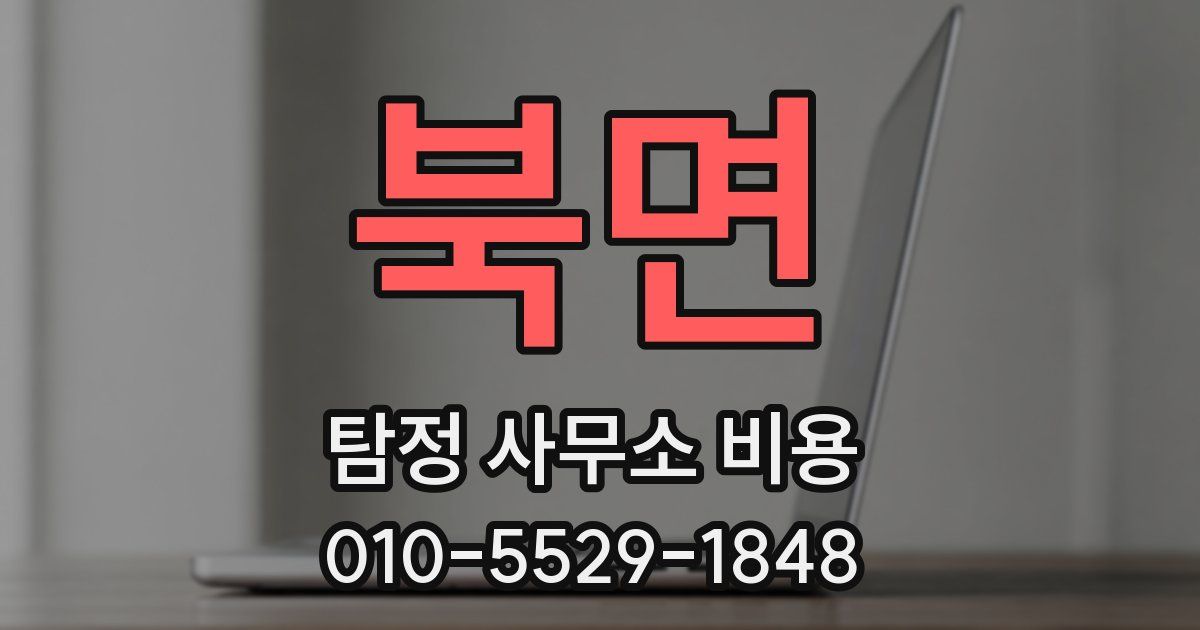 북면 탐정 사무소 비용