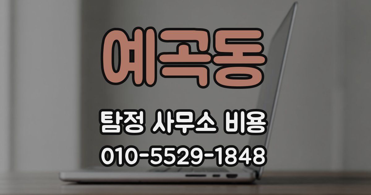 예곡동 탐정 사무소 비용