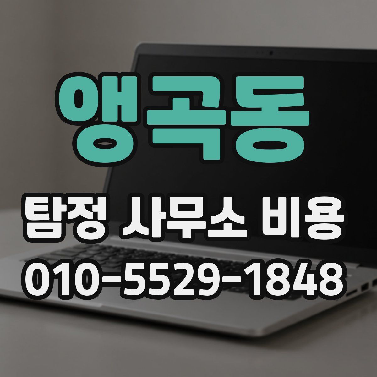 앵곡동 탐정 사무소 비용