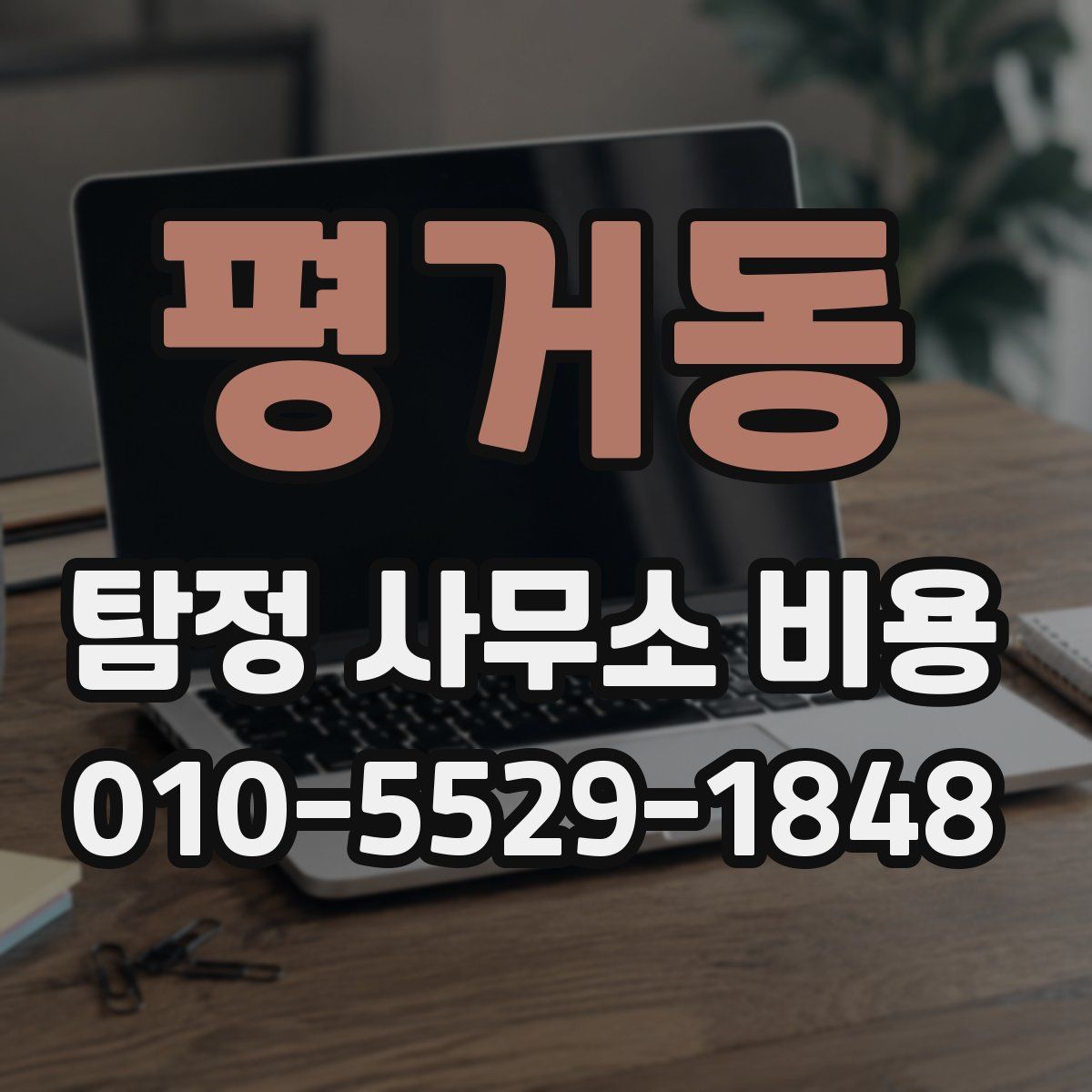 평거동 탐정 사무소 비용