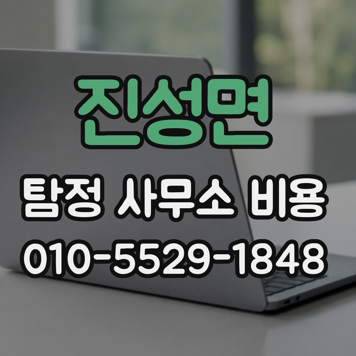 진성면 탐정 사무소 비용