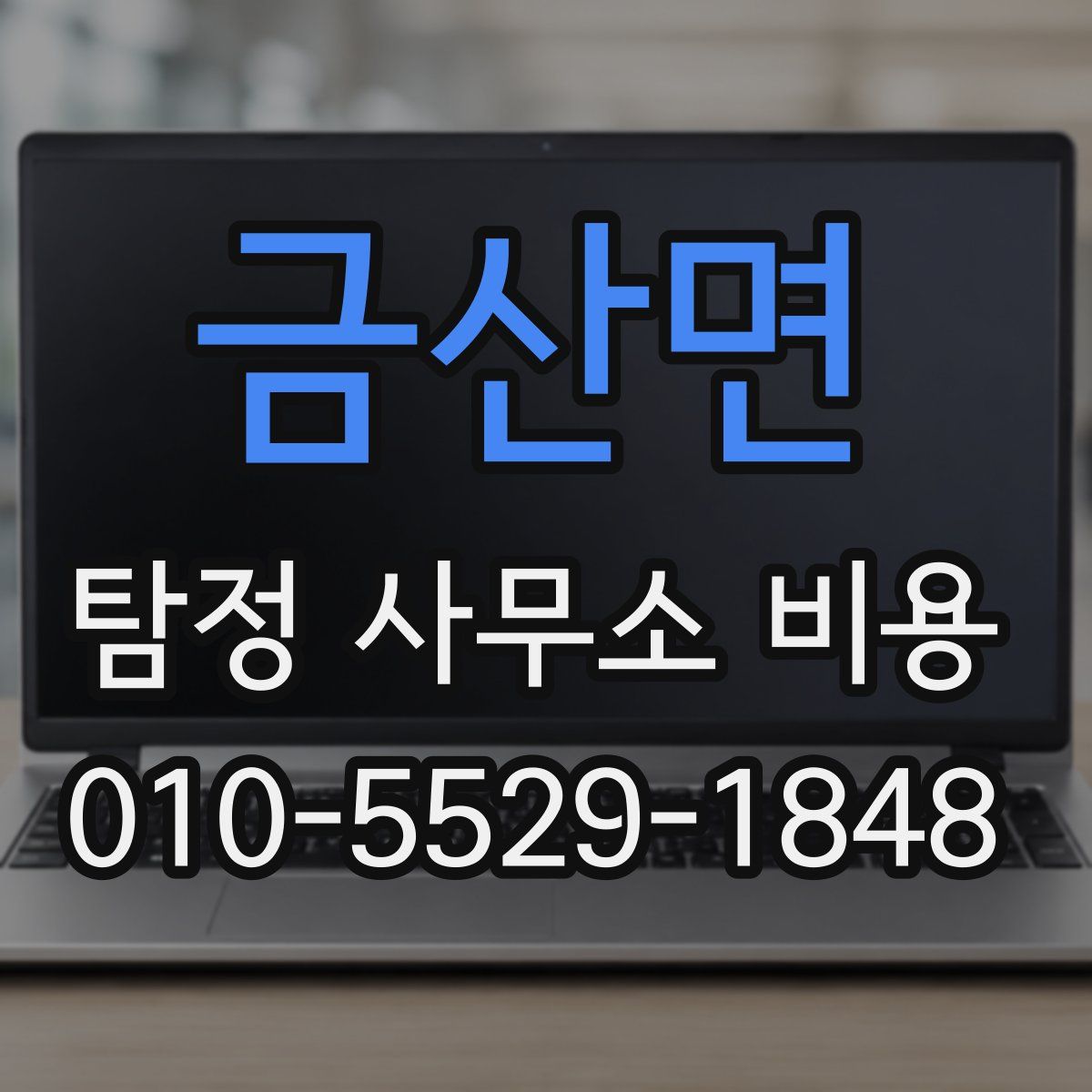 금산면 탐정 사무소 비용