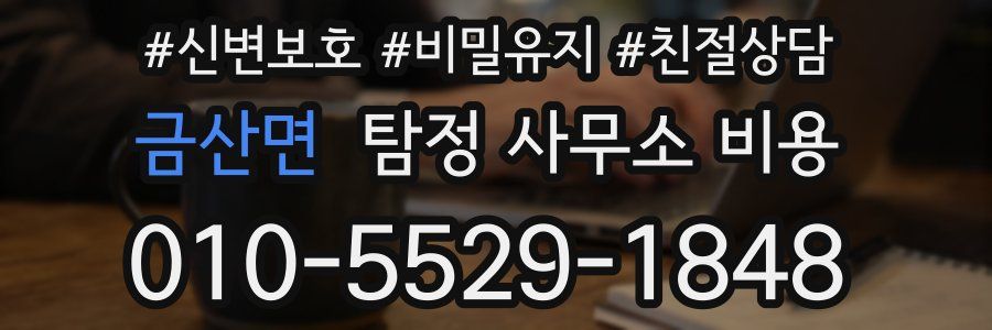 금산면 탐정 사무소 비용