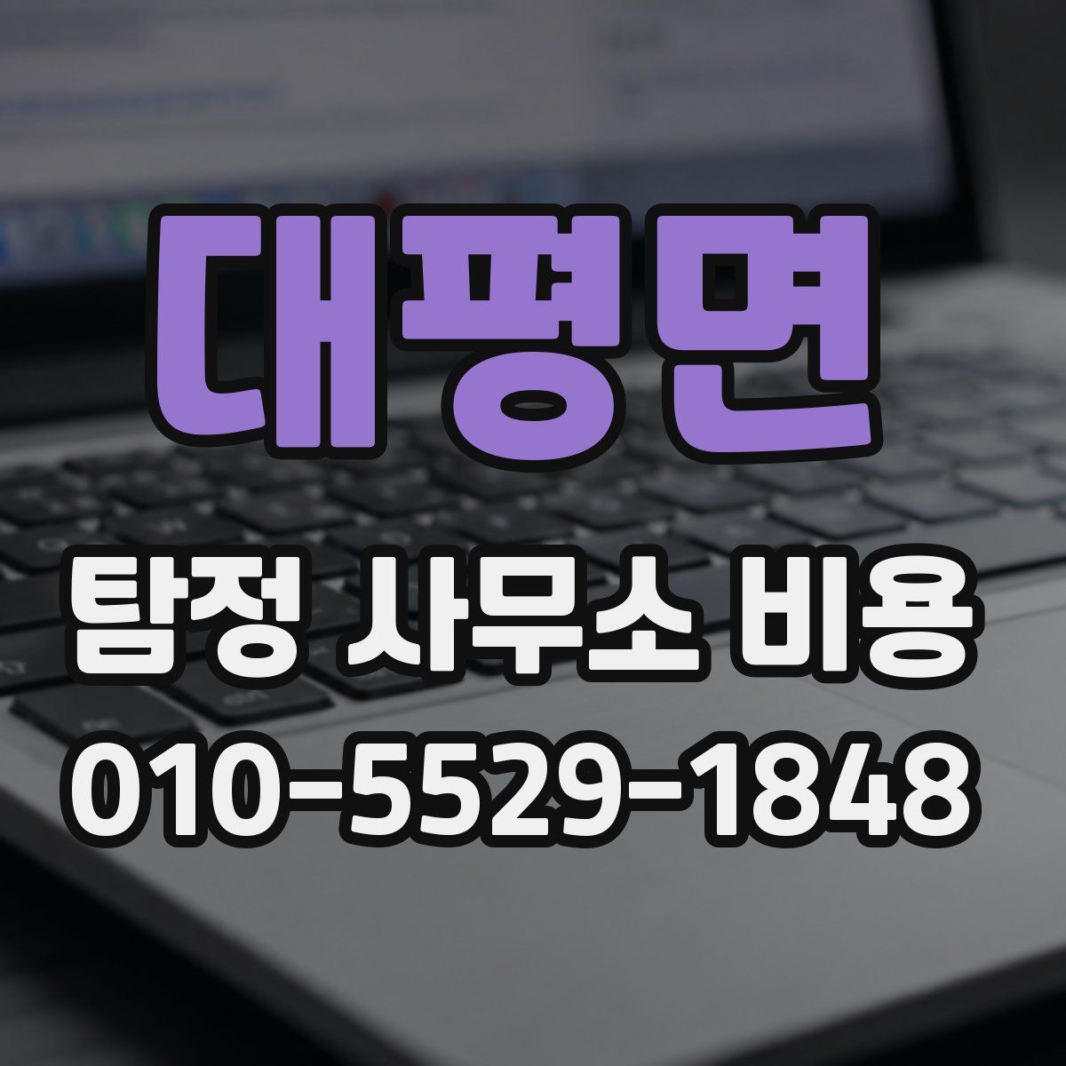 대평면 탐정 사무소 비용