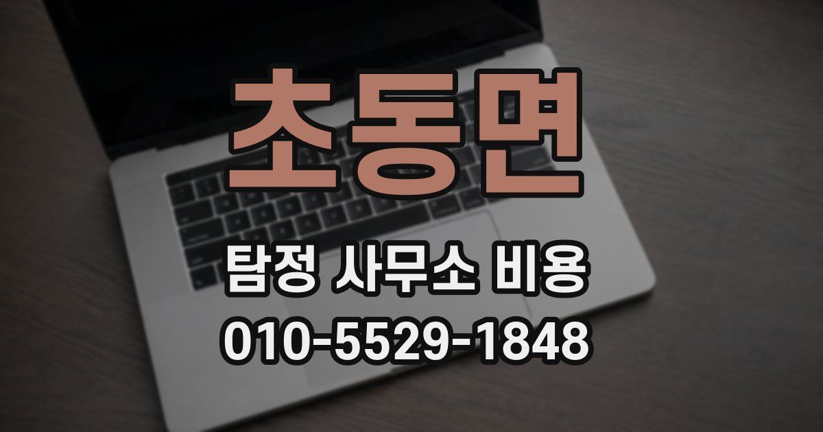 초동면 탐정 사무소 비용