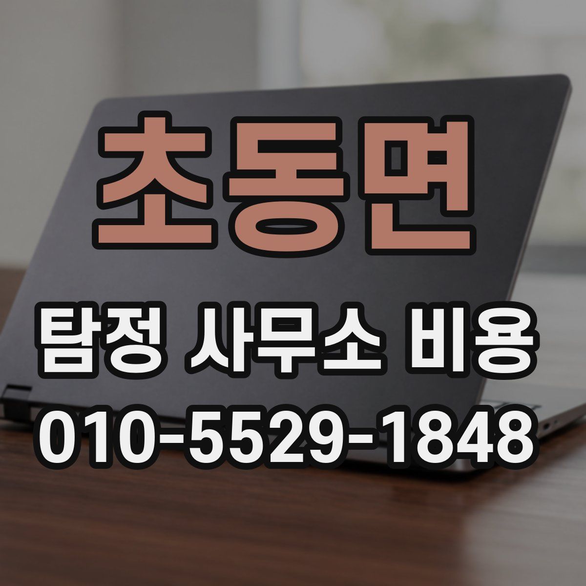 초동면 탐정 사무소 비용