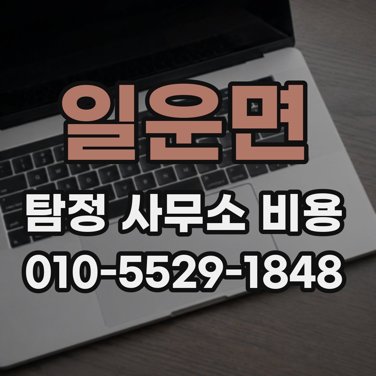 일운면 탐정 사무소 비용