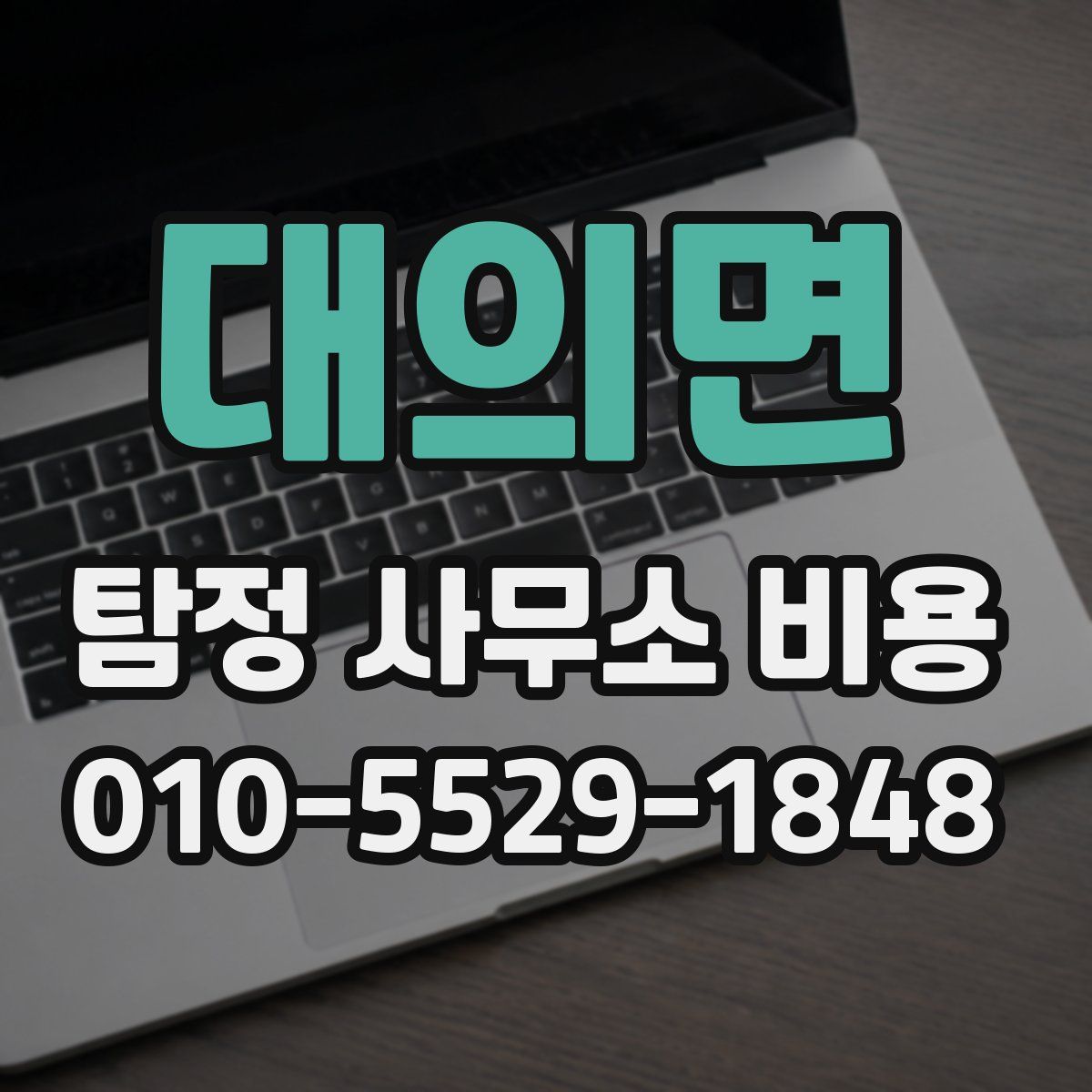 대의면 탐정 사무소 비용