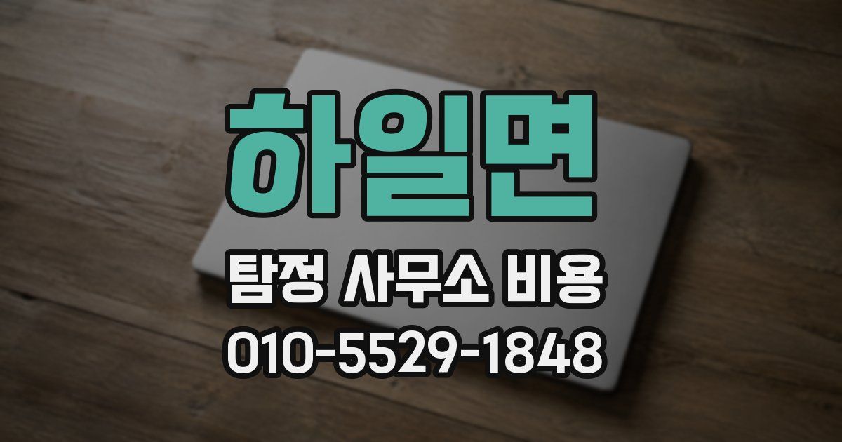 하일면 탐정 사무소 비용