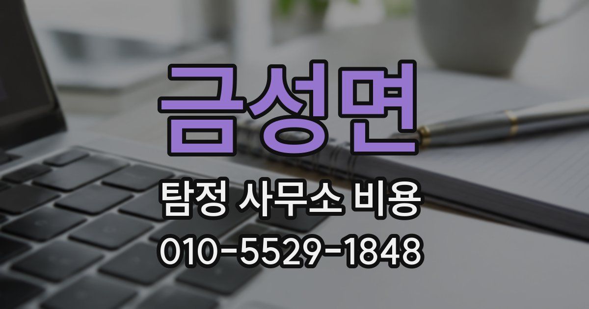 금성면 탐정 사무소 비용