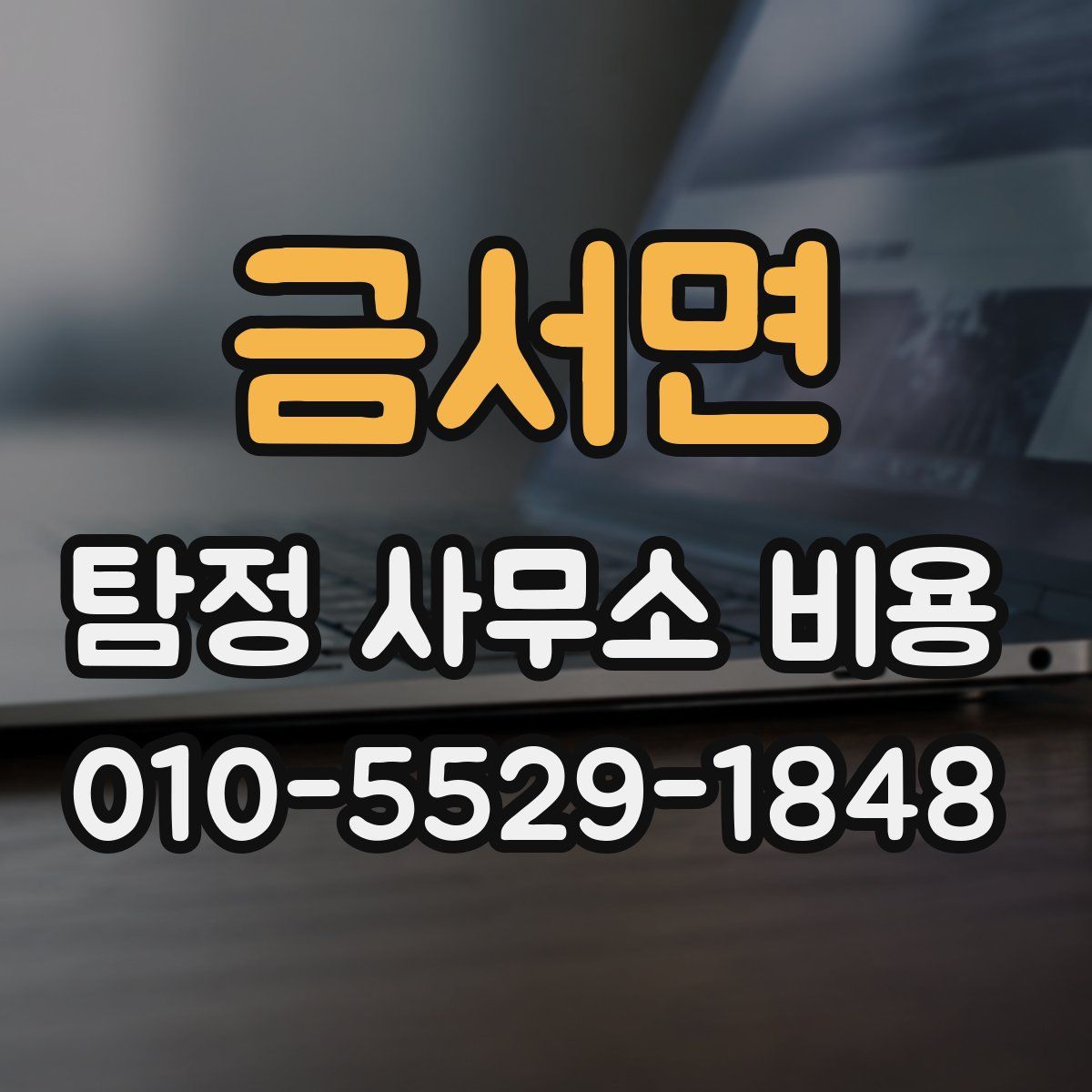 금서면 탐정 사무소 비용