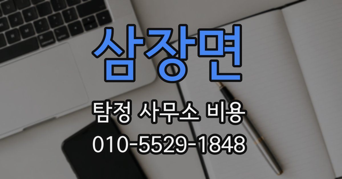 삼장면 탐정 사무소 비용