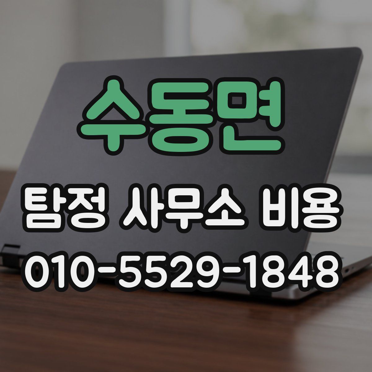 수동면 탐정 사무소 비용