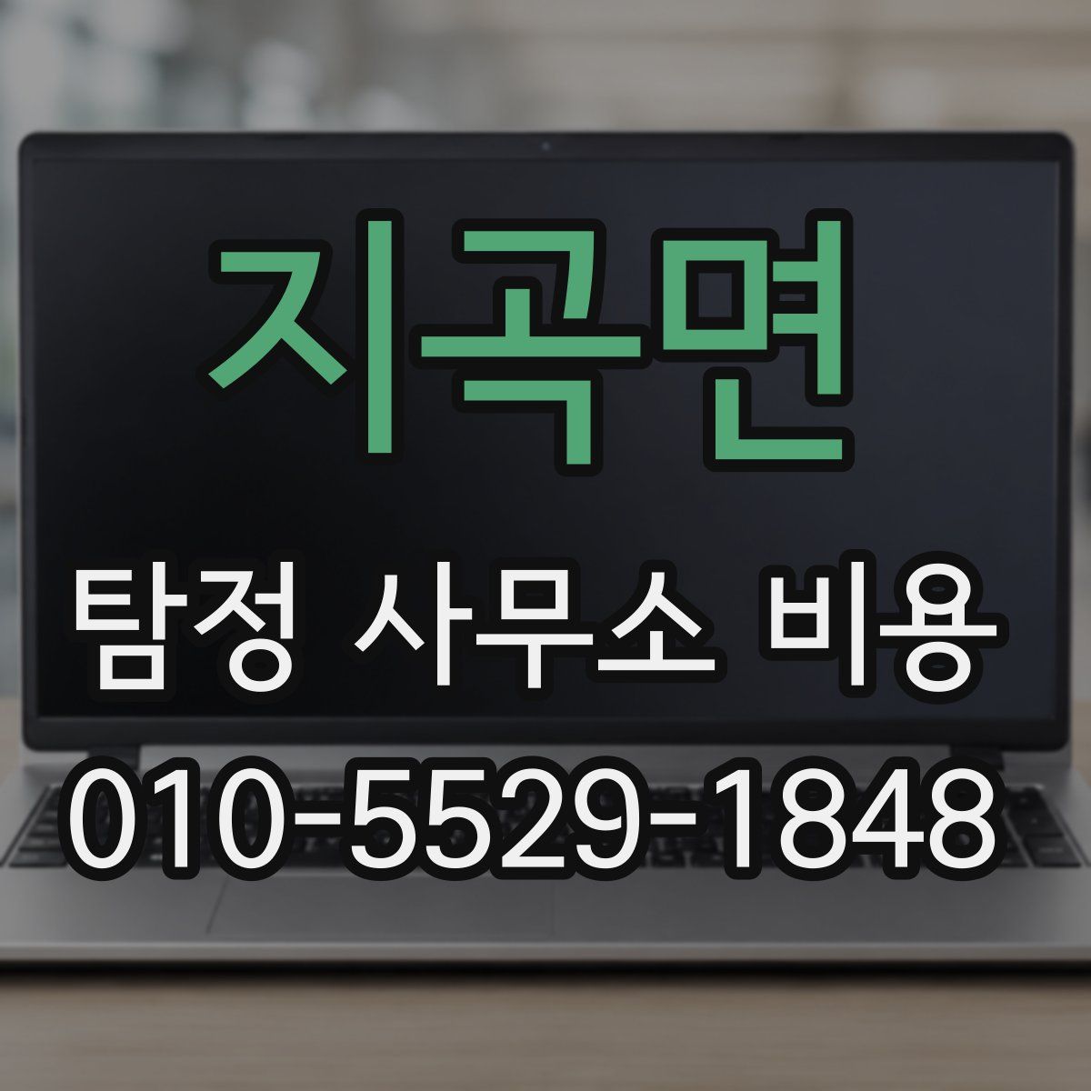 지곡면 탐정 사무소 비용