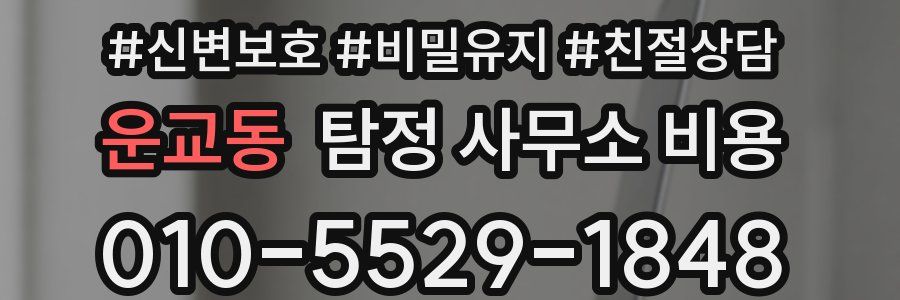 운교동 탐정 사무소 비용