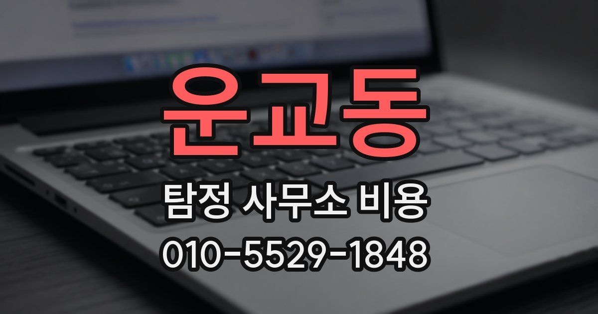 운교동 탐정 사무소 비용